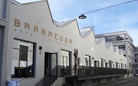 Barracuda